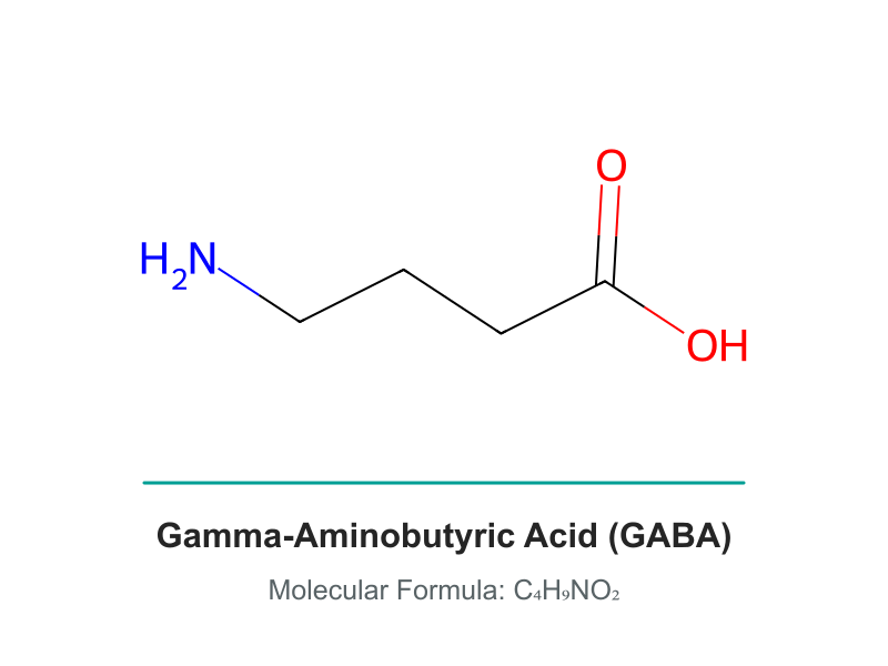 γ-Aminobutyric acid (GABA)