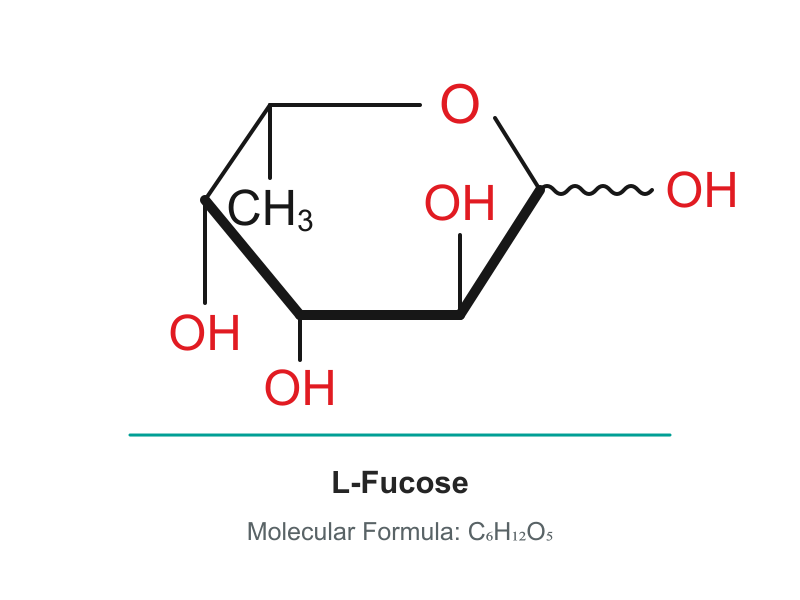 L-(-)-Fucose CAS 2438-80-4