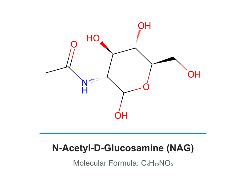 N-Acetyl Glucosamine